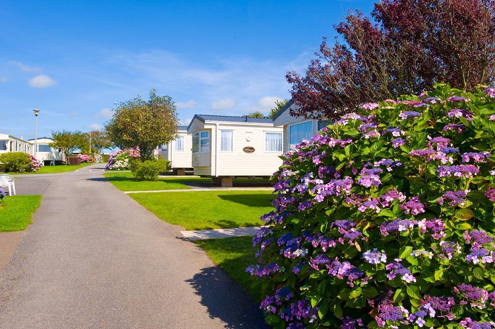 Wooda Farm Holidays Bude Ruang foto