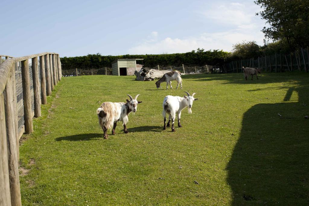 Wooda Farm Holidays Bude Bagian luar foto